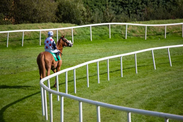 Pojedynczy Koń Wyścigowy Jocky Stojący Zakręcie Toru Wyścigowego — Zdjęcie stockowe
