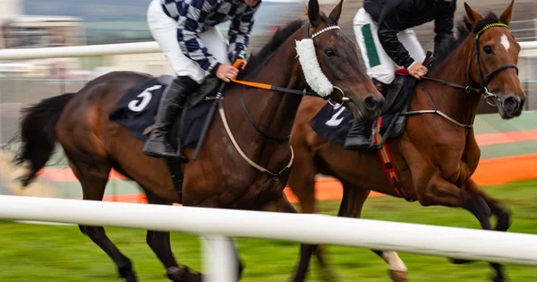 Rörelse Oskärpa Hästkapplöpning Action Två Tävlingshästar Galopperande Hastighet — Stockfoto