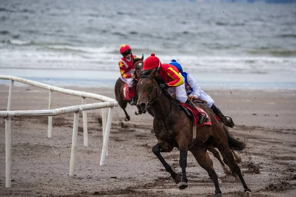 アイルランド西海岸のビーチでの競馬活動 — ストック写真