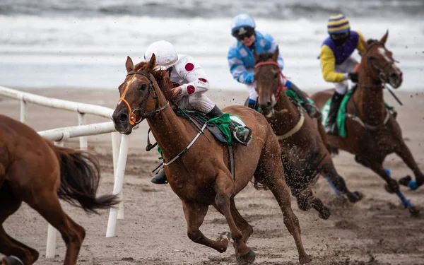 アイルランド西海岸のビーチでの競馬活動 — ストック写真