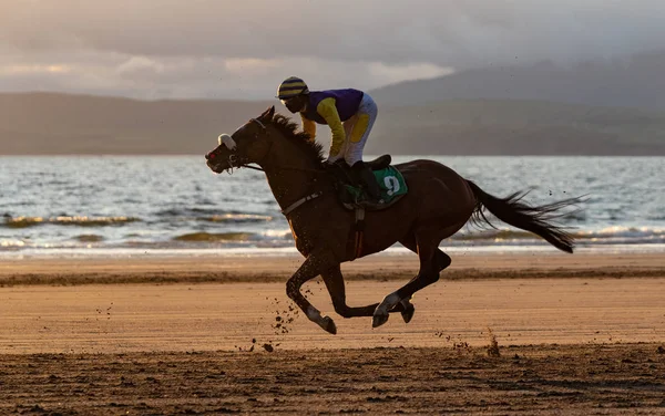 Závodní Kůň Žokej Cválající Pláži Při Západu Slunce Západním Pobřeží — Stock fotografie