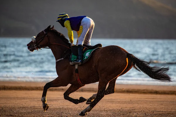 アイルランドの西海岸の日没時にビーチで競馬やジョッキーを閉じます — ストック写真