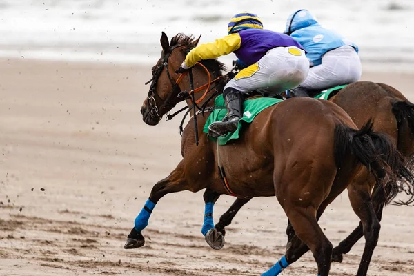 Två Galopperande Tävlingshästar Och Jockeyer Tävlar Position Hästkapplöpning Stranden Stockbild