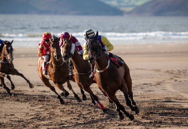 Tävlingshästar Och Jockeys Racing Runt Hörnet Banan Hästkapplöpning Stranden Kväll Stockfoto