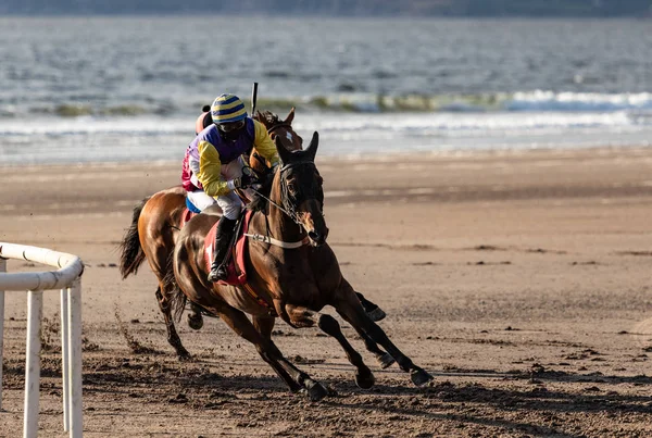 Yarışın Önde Gelen Atı Jokeyi Pistin Köşesinde Yarışıyor Kumsalda Yarışıyor Stok Fotoğraf