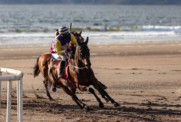 トラックの隅の周りのリードレースの馬とジョッキーレース ビーチでの競馬 日没の夜の光 ストック写真