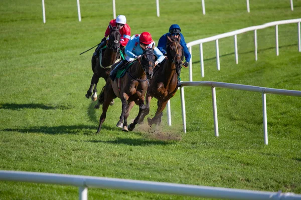 Yarış Atları Jokeyleri Yarış Pistindeki Bitiş Çizgisinden Önce Son Virajı — Stok fotoğraf