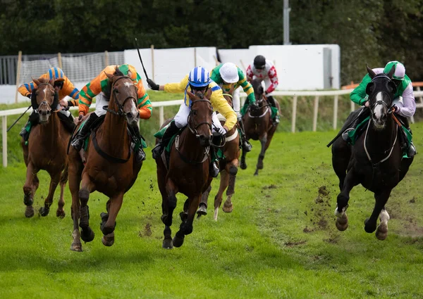 レーストラックの最後のターンで位置のために競合トラック レース馬やジョッキー上の激しい競馬アクション — ストック写真