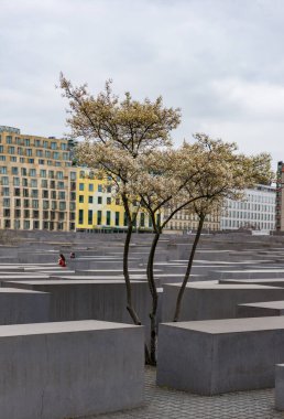 Berlin, Almanya - 3 Nisan 2017: Berlin 'de öldürülen Avrupa Yahudilerinin anısına yapılan anma töreninde bahar mevsimi boyunca ağaç çiçek açtı.