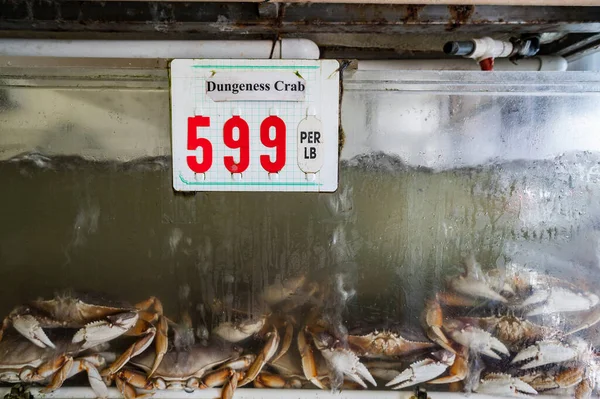 Żywy Krab Dungeness Sprzedaż Akwarium Targu Spożywczym — Zdjęcie stockowe