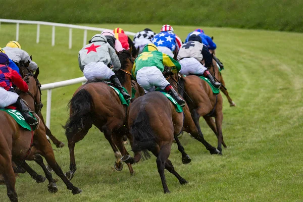 Vista Behing Cavalos Corrida Jockeys Galopando Pista Corrida Rian — Fotografia de Stock