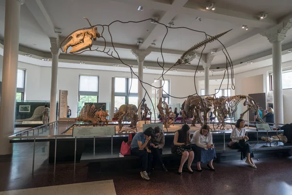 New York Maggio 2016 Esposizioni Fossili Dinosauri All American Museum — Foto Stock