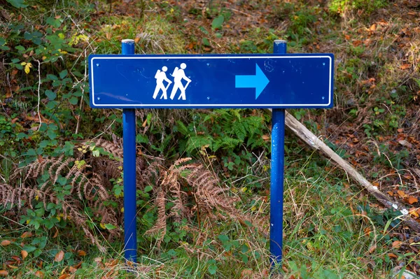 Hiking trail direction sign in a forest