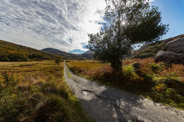 Stará Venkovská Cesta Přes Killarney National Park — Stock fotografie