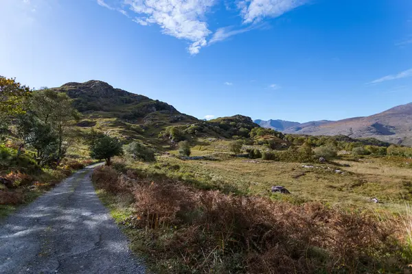 Killarney Ulusal Parkı Nın Manzaralı Manzarası Boyunca Eski Kırsal Yol — Stok fotoğraf