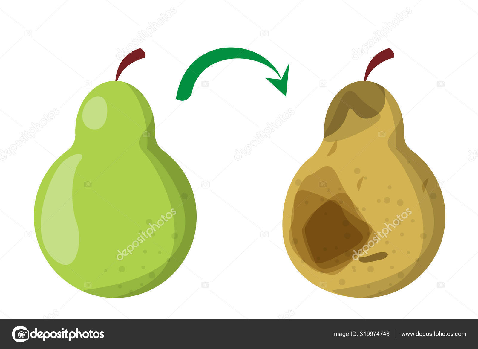 Rotten food product set spoiled and damaged fruit Vector Image