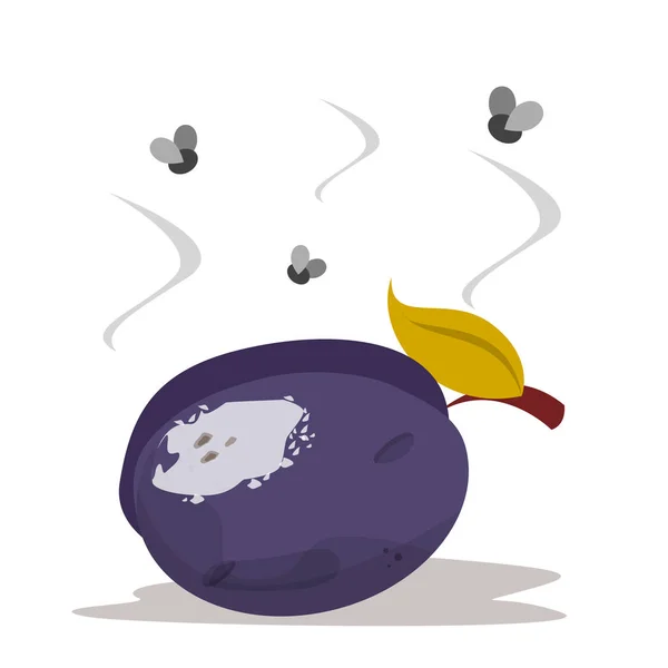 La fruta sana de ciruela buena se vuelve mala. Bayas podridas, desperdicio de alimentos — Vector de stock