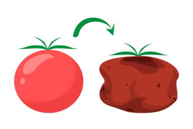 stock vector