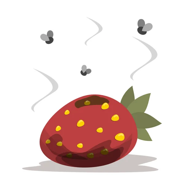 Färska och röda jordgubbar blir ruttna och dåliga — Stock vektor