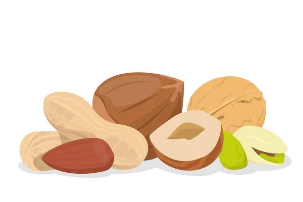 Nut收集向量隔离。 天然食品、零食种子 — 图库矢量图片