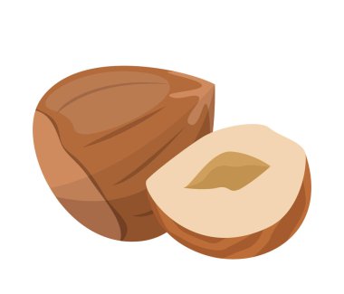 Fındık vektörü izole edildi. Organik gıda, doğal beslenme