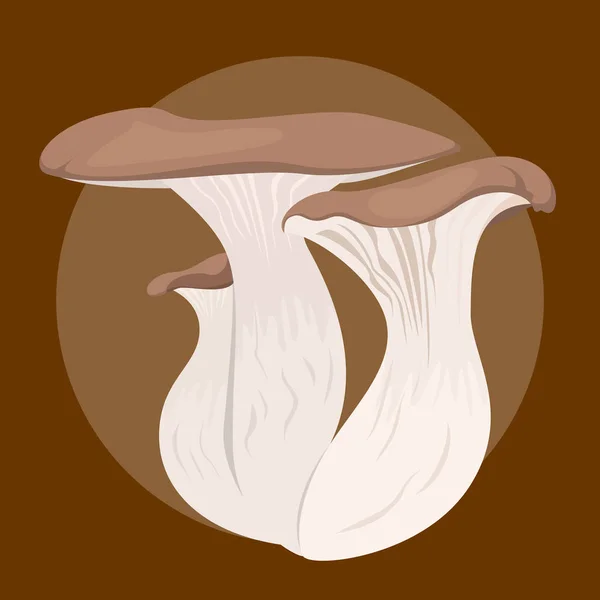 Pleurotus gomba vektor izolálva. Ehető gomba, ízletes — Stock Vector