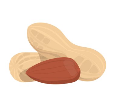 Kabuk vektöründeki fıstıklar izole edildi. Taze vejetaryen yiyecekler, çiğ organik ürünler. Kabuklu sağlıklı malzeme..