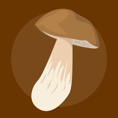 Boletus edulis mantar vektörü izole edildi. Yenilebilir organik ürün. Vahşi çiğ mantar. Doğal sağlıklı beslenme, vejetaryen malzeme..