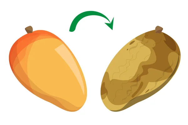 Fresco Delizioso Mango Diventando Vettore Marcio Isolato Frutta Viziata Con — Vettoriale Stock