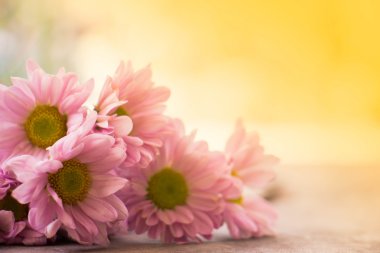Ahşap backdro gerbera çiçekleri ile çiçek antika arka plan
