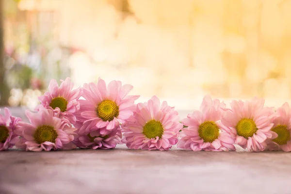Fond vintage floral avec des fleurs de gerbera sur fond en bois — Photo
