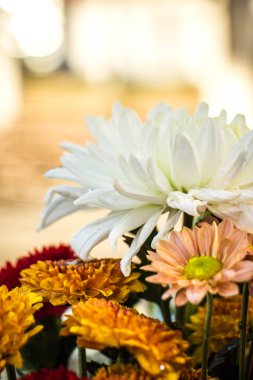 Çiçeklerin soyut arkaplanı. Yakın plan..