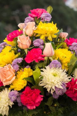 Çiçeklerin soyut arkaplanı. Yakın plan..