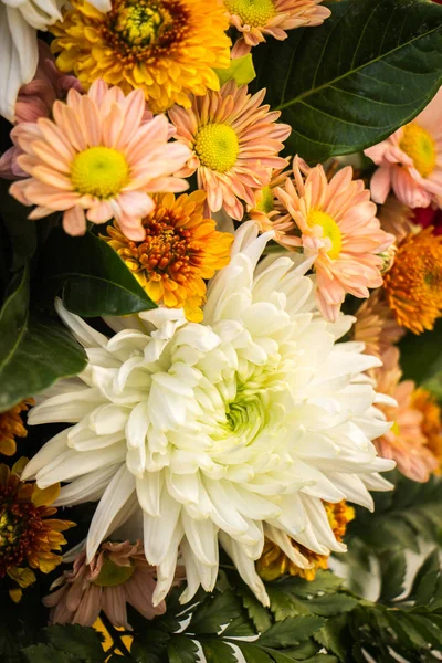 Çiçeklerin soyut arkaplanı. Yakın plan..