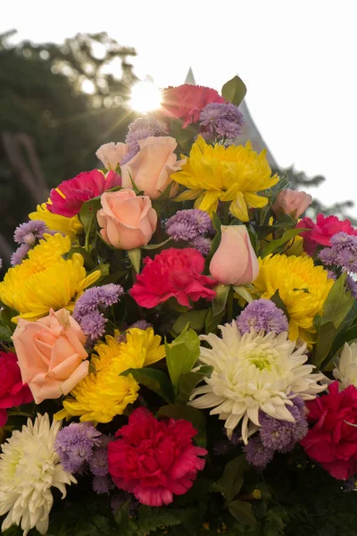 Çiçeklerin soyut arkaplanı. Yakın plan..