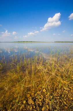 Nehir manzara Tayland