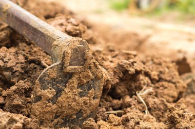 arka plan bahar bahçe kürek ile toprak kazma