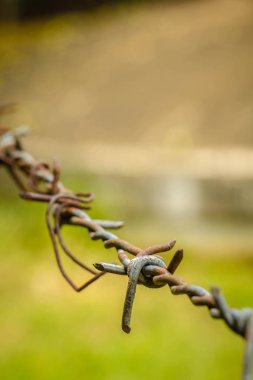 Yeşil arka plana sahip bir gruptaki dikenli tel çit