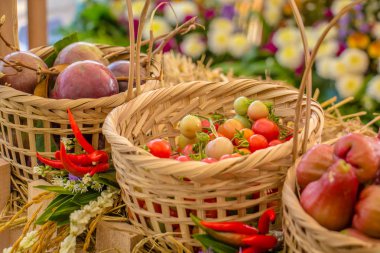 El yapımı bambu yapılmış sepet içinde taze organik sebze.