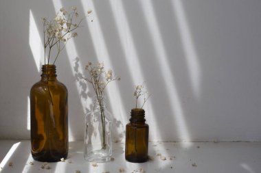 Beyaz arka planda kuru çiçekli üç şişe.