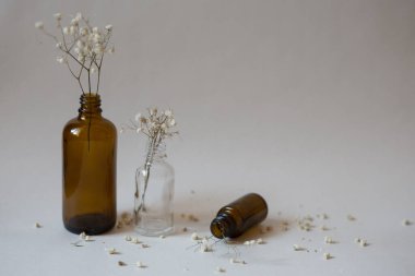 Beyaz arka planda kuru çiçekli üç şişe.