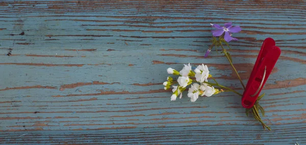 Petit Bouquet Avec Une Pince Linge Sur Fond Bois — Photo