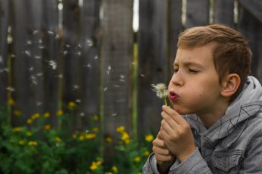 Bir çocuk karahindibaya üfledi.