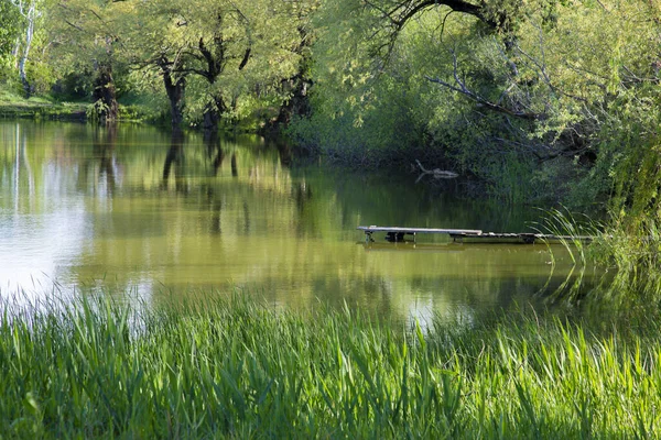 Vacker Natur Sjön Träden Gräset Den Gamla Träpiren — Stockfoto