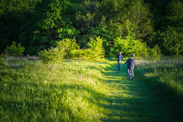 Children ride bicycles on a forest path against the background of green trees