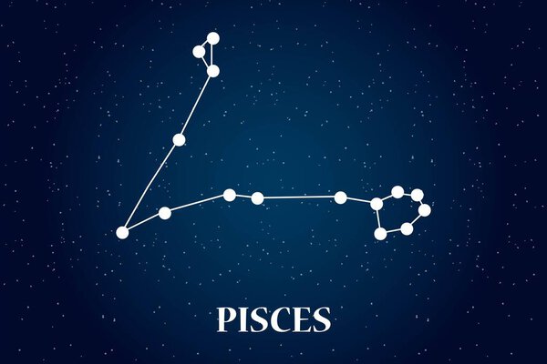 Closeup of Pisces horoscope symbol horoscope zodiac sign. Vector art EPS illustration. Pisces Star constellation isolated on beautiful starry sky, dark blue black night background with vignette