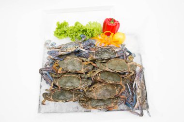 Beyaz arkaplanda taze yengeç