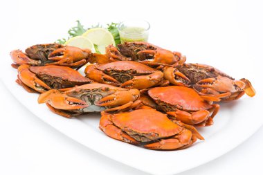 beyaz zemin üzerine pişmiş Yengeç.