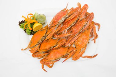 beyaz zemin üzerine pişmiş Yengeç.