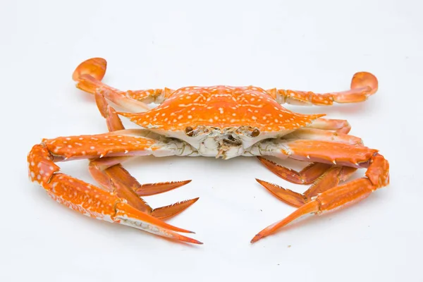 steamed crab on white background.